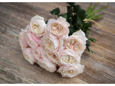 David Austin Wedding Rose Keira